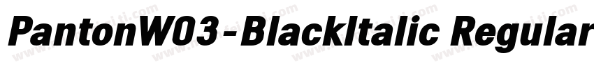 PantonW03-BlackItalic Regular字体转换